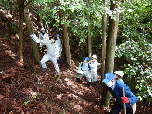 用地測量イメージ